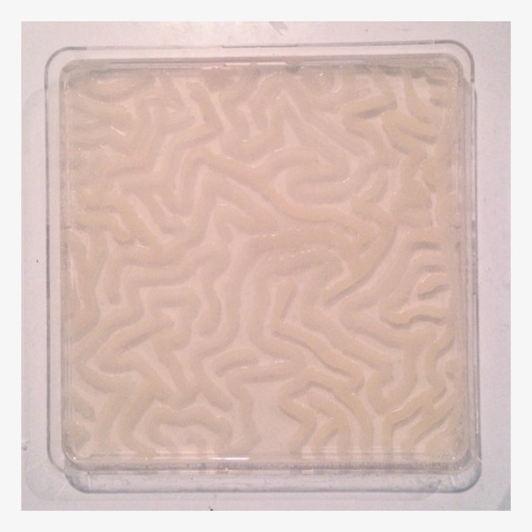 Petri dish design