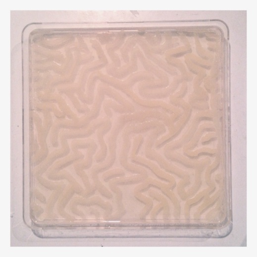 Petri dish design